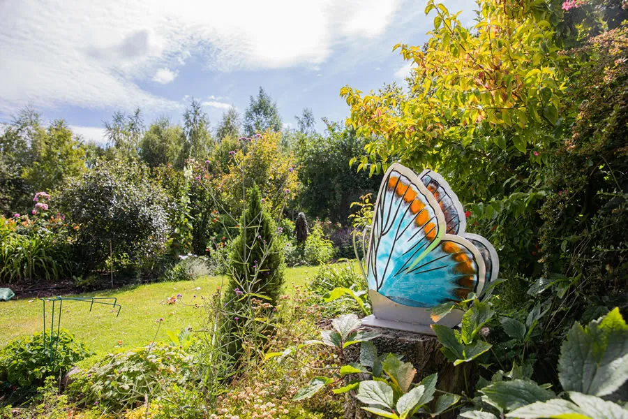 Venue garden butterfly